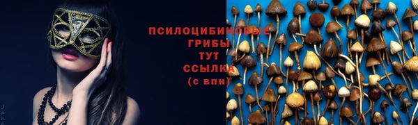 ALPHA-PVP Верея
